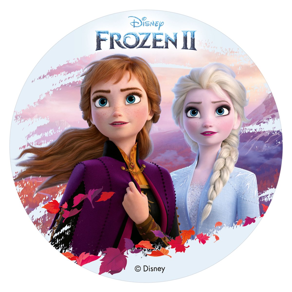 6 DISCOS HÓSTIA PARA DECORAR BOLOS FROZEN II 20 CM