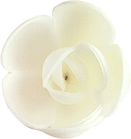ROSA PEQUENA BRANCA
