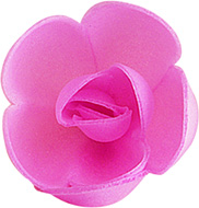 ROSA PEQUENA ROSA
