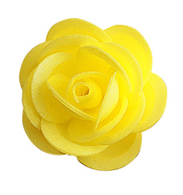 ROSA AMARA SM OHA 4,5 CM