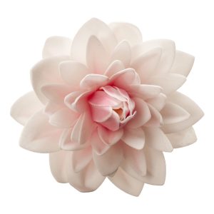DALIA GIGANTE OBREIA COLOR ROSA 12,5 CM