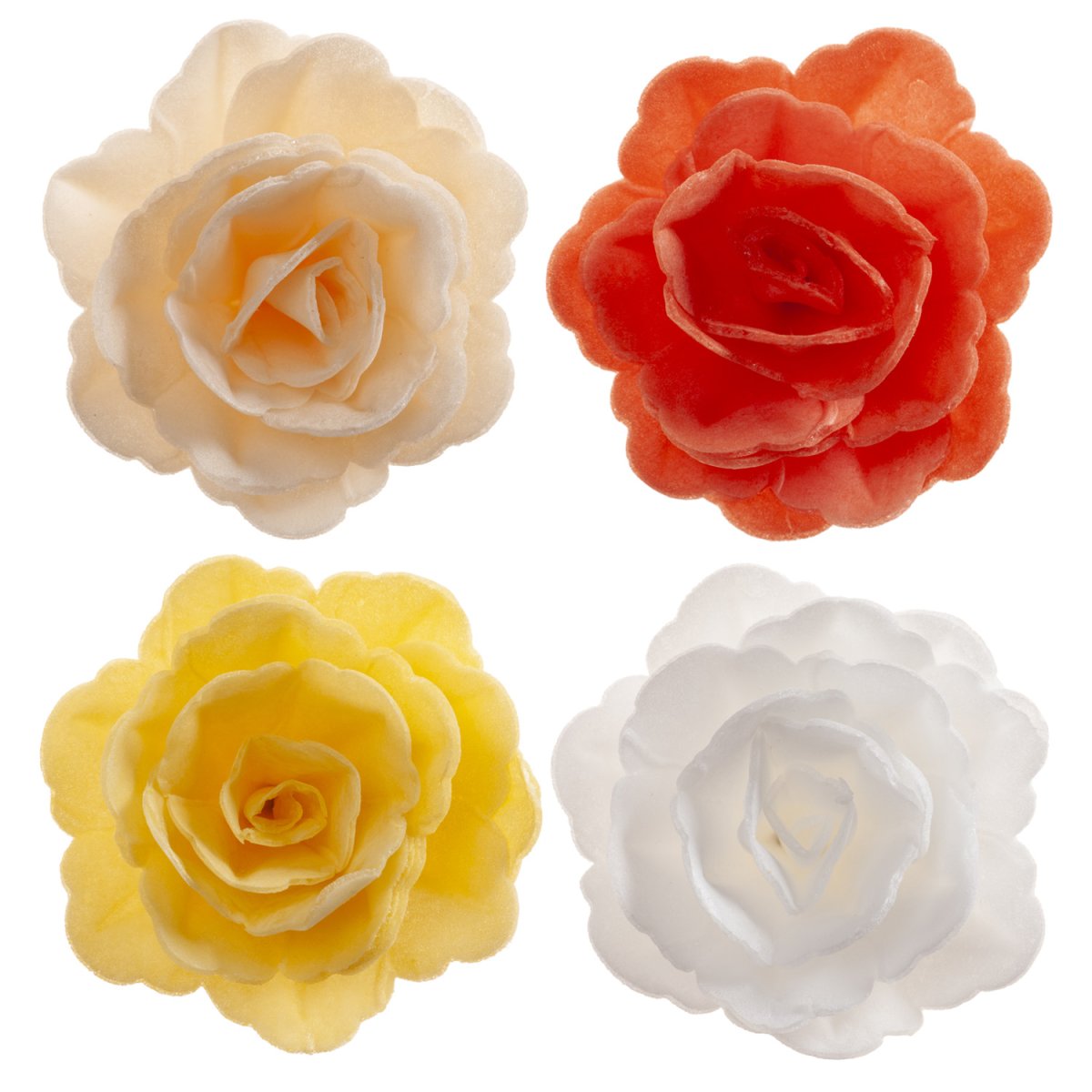 CAIXA DE 15 ROSAS WAFER DE OUTONO CORES SORTIDAS Ø 7CM