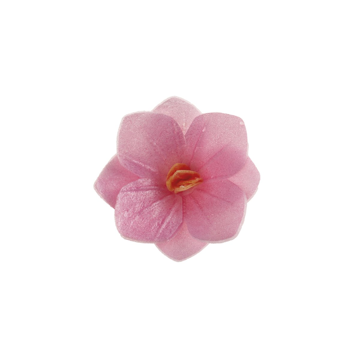 FLORES DE HÓSTIA COR-DE-ROSA 4CM