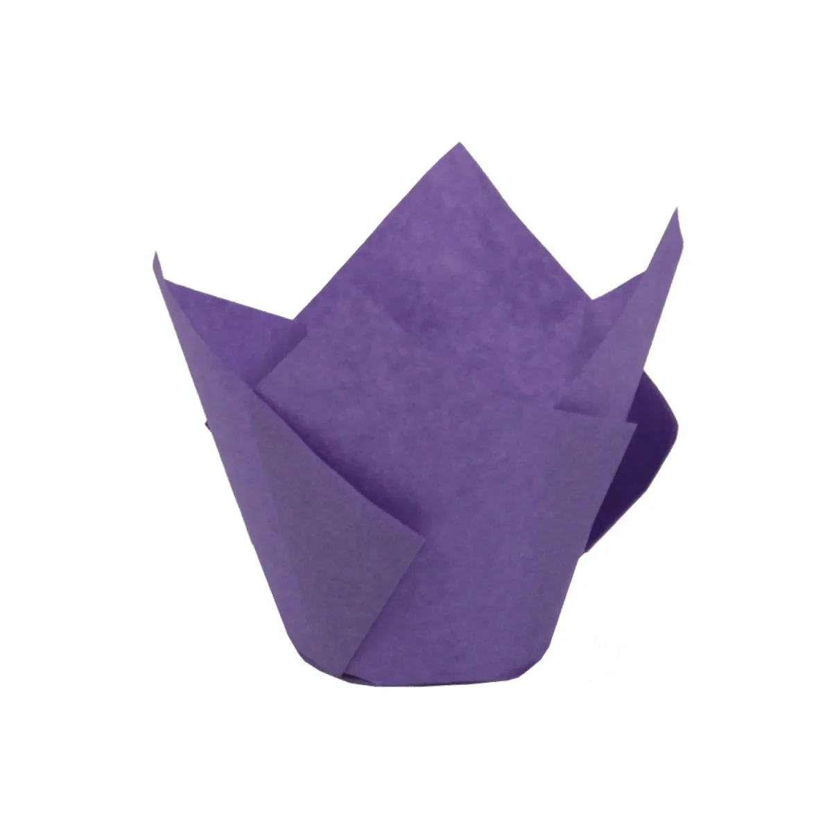 Tulipas – 100UN