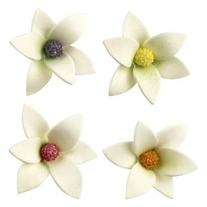 48 FLORES DE AÇÚCAR BRANCAS COM CENTRO DE CORES 6 x 2,5 CM