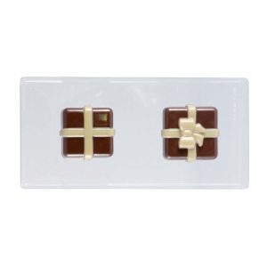 CONJUNTO DE 2 MOLDES DE PLÁSTICO TERMOFORMADO CAIXA DE OFERTA