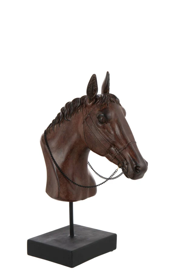 CABEÇA DE CAVALO CASTANHO