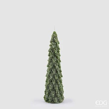 VELA PINHEIRO DE NATAL