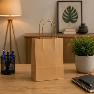 Pacote com 10 Sacola Kraft Tamanho M – Parda