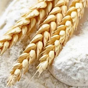 Farinha Tipo 65 – 25kg