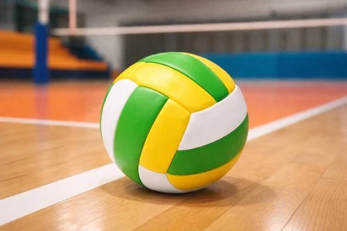 Bola de Vôlei Infantil 63cm- Sortida